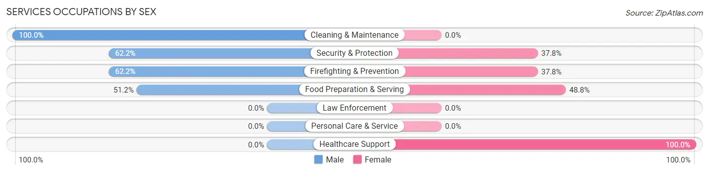 Services Occupations by Sex in Sacaton