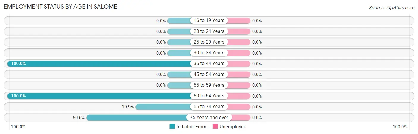 Employment Status by Age in Salome