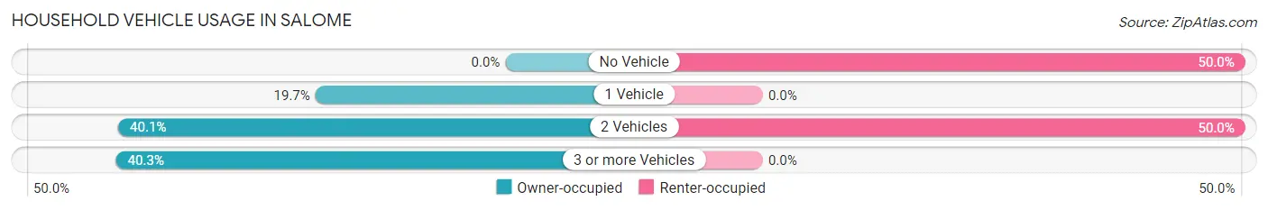 Household Vehicle Usage in Salome