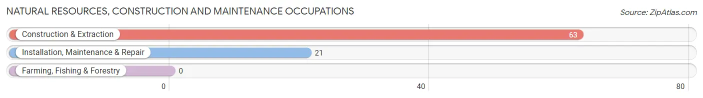 Natural Resources, Construction and Maintenance Occupations in San Jose