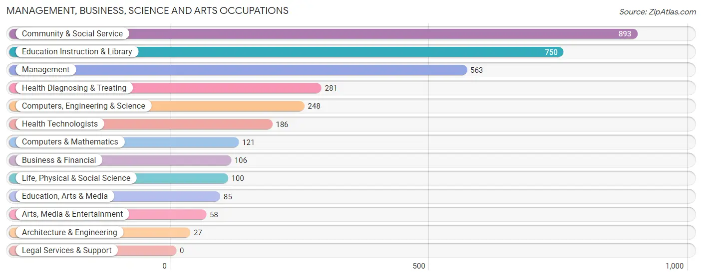 Management, Business, Science and Arts Occupations in San Luis