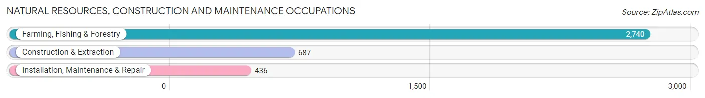 Natural Resources, Construction and Maintenance Occupations in San Luis