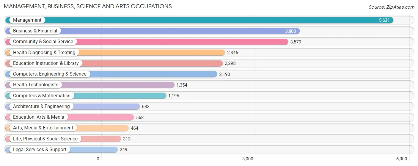 Management, Business, Science and Arts Occupations in San Tan Valley