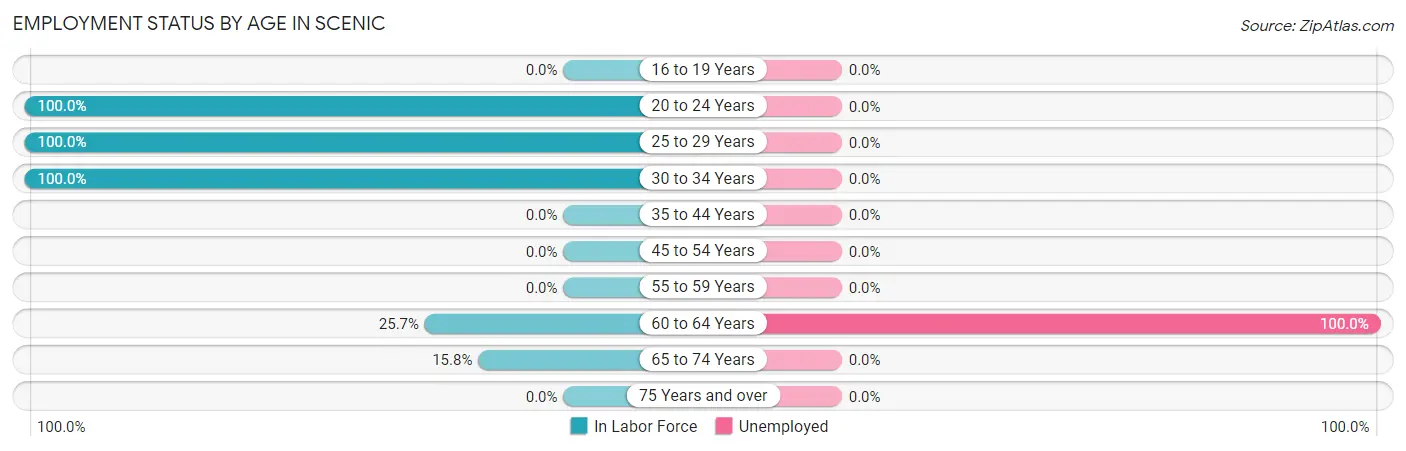 Employment Status by Age in Scenic