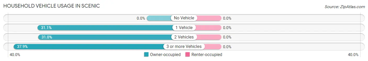 Household Vehicle Usage in Scenic