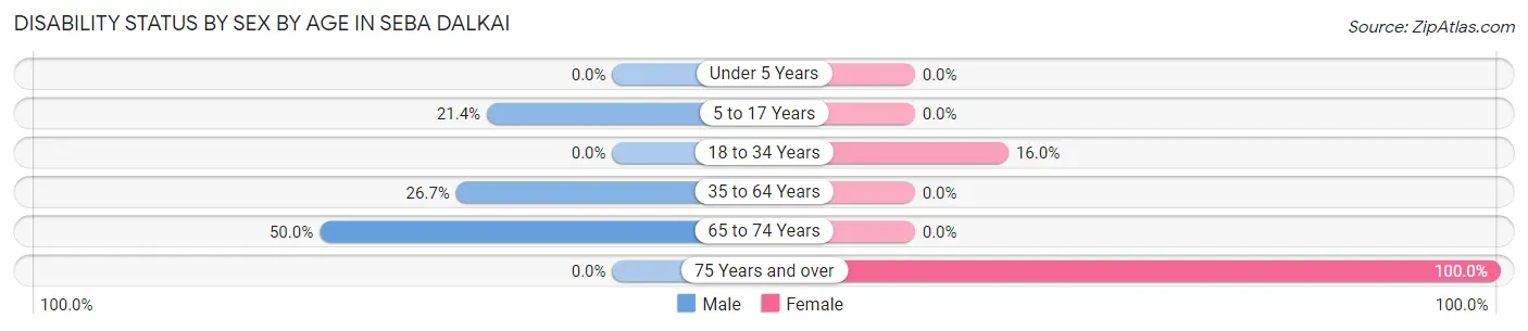 Disability Status by Sex by Age in Seba Dalkai
