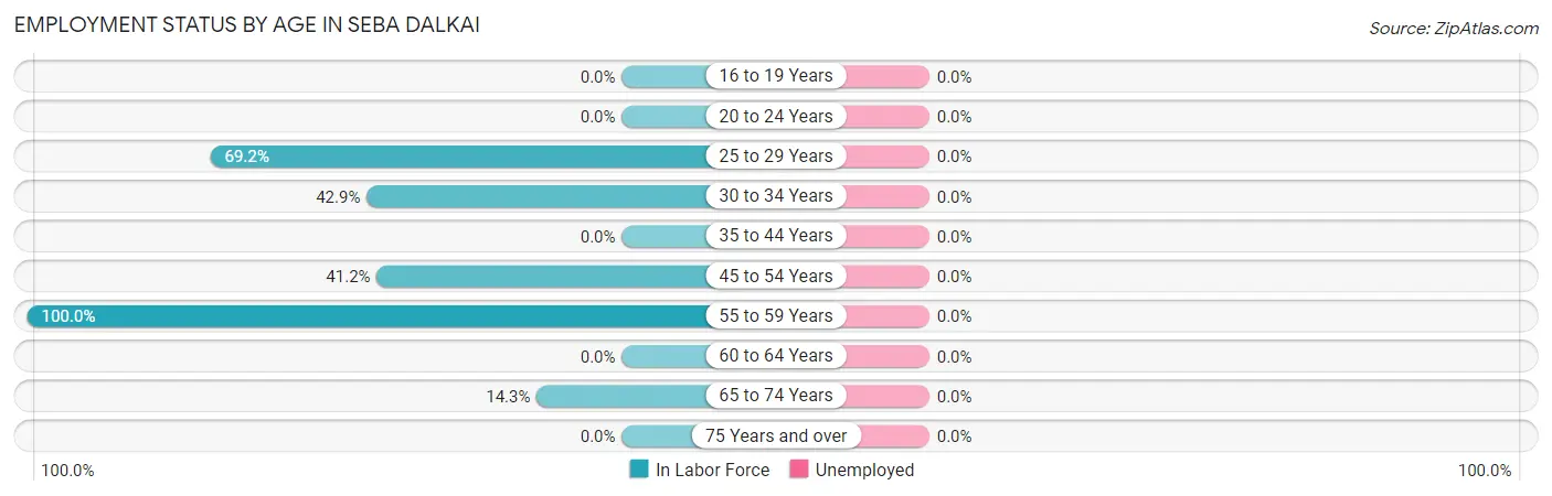 Employment Status by Age in Seba Dalkai