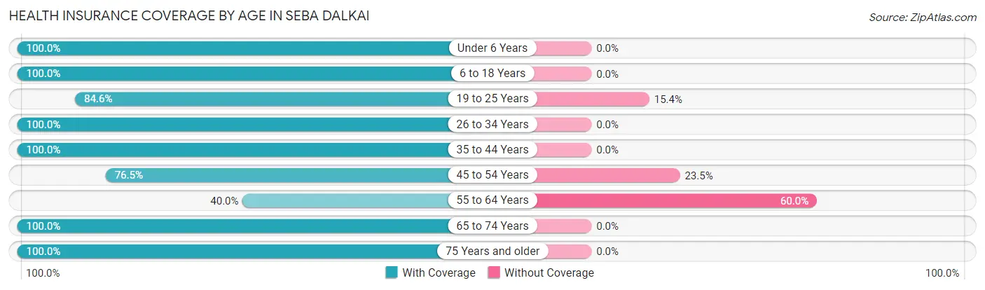Health Insurance Coverage by Age in Seba Dalkai