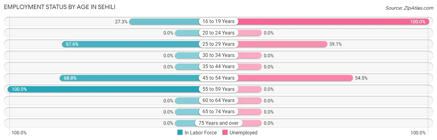 Employment Status by Age in Sehili
