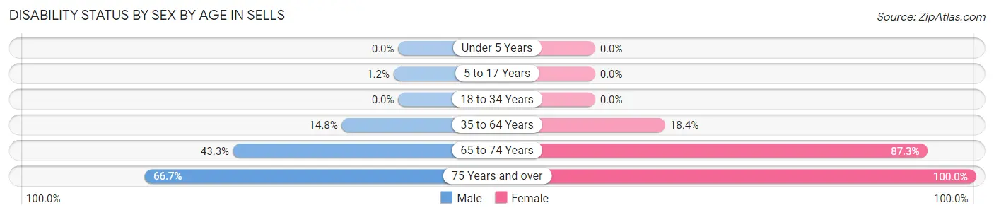 Disability Status by Sex by Age in Sells