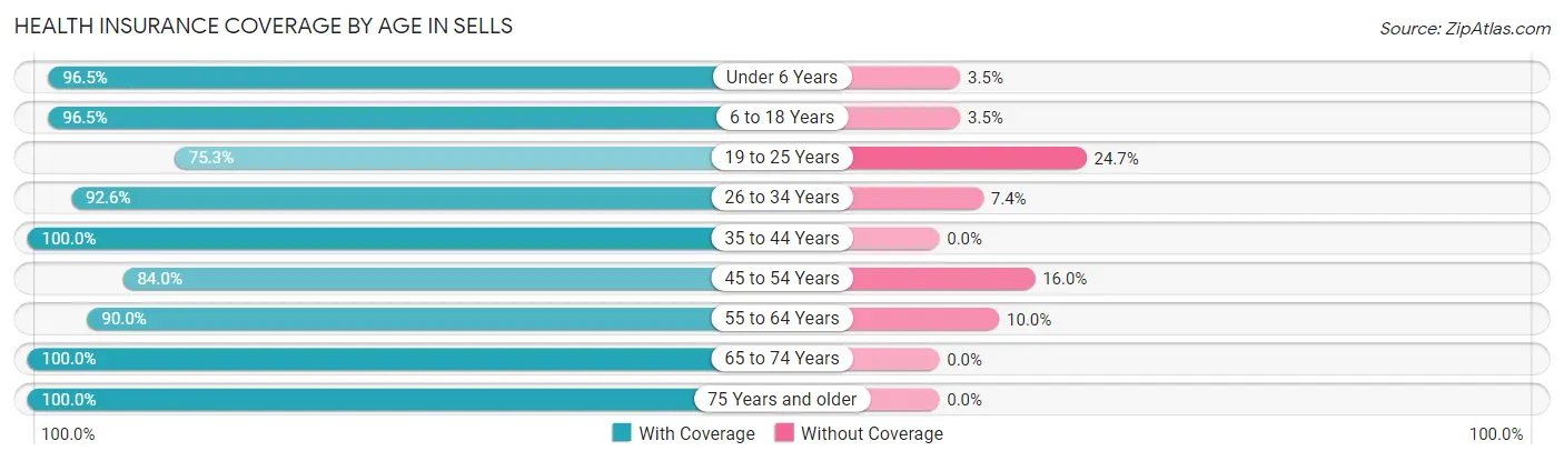 Health Insurance Coverage by Age in Sells