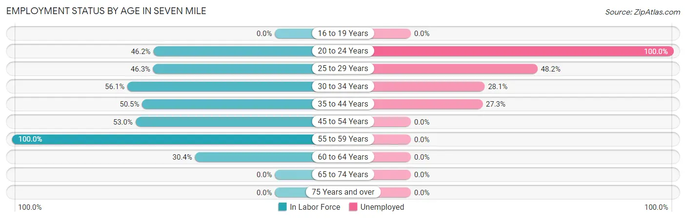 Employment Status by Age in Seven Mile