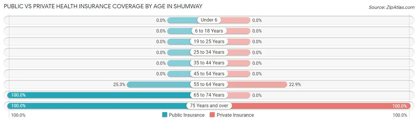 Public vs Private Health Insurance Coverage by Age in Shumway