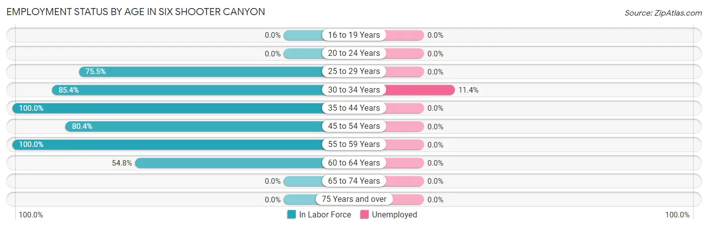 Employment Status by Age in Six Shooter Canyon