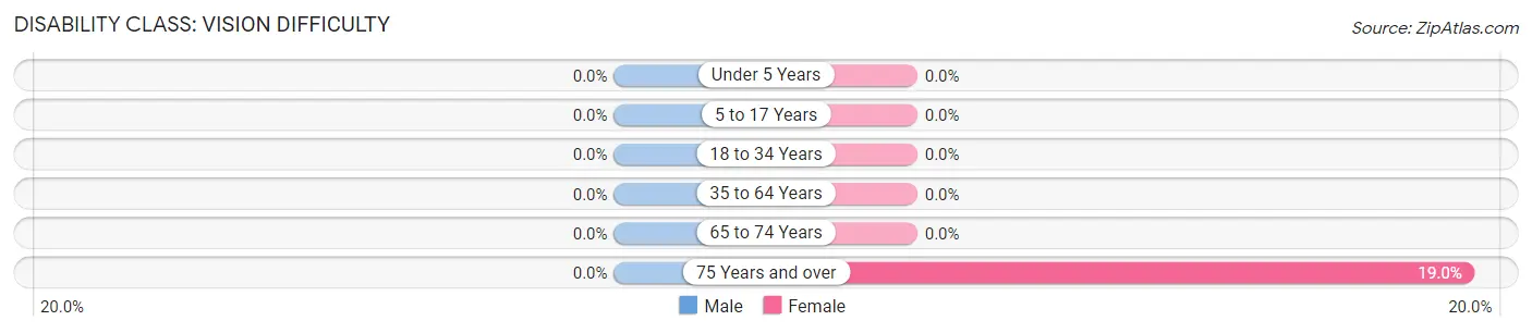 Disability in So Hi: <span>Vision Difficulty</span>