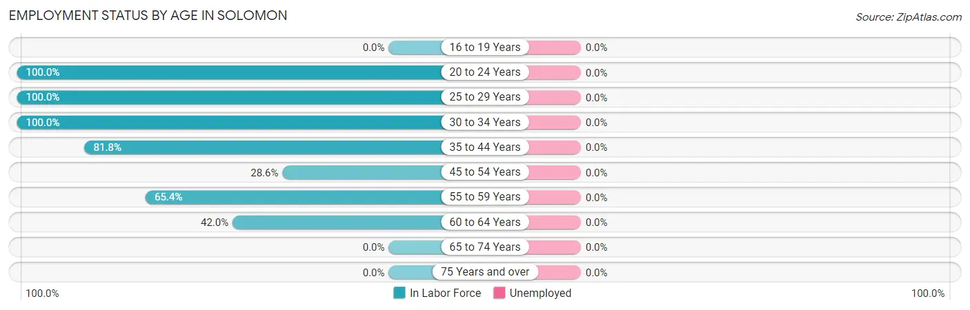 Employment Status by Age in Solomon
