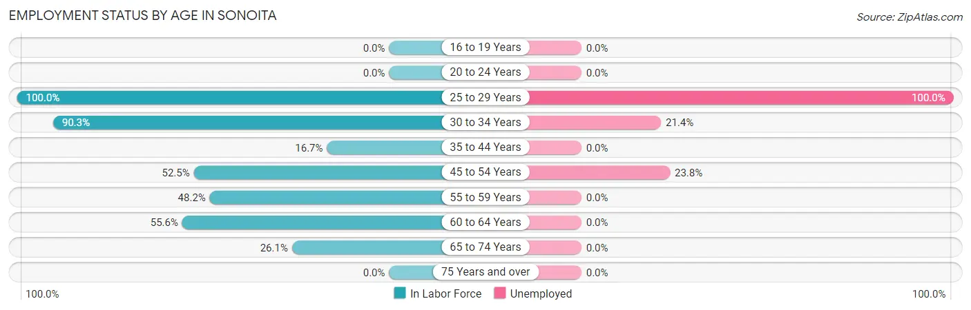 Employment Status by Age in Sonoita