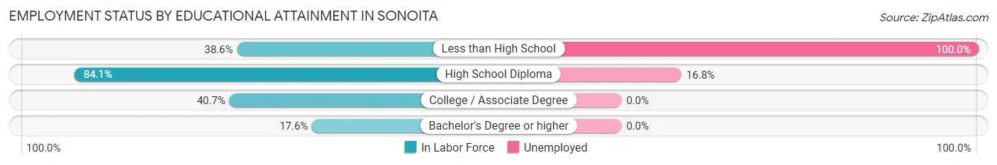 Employment Status by Educational Attainment in Sonoita