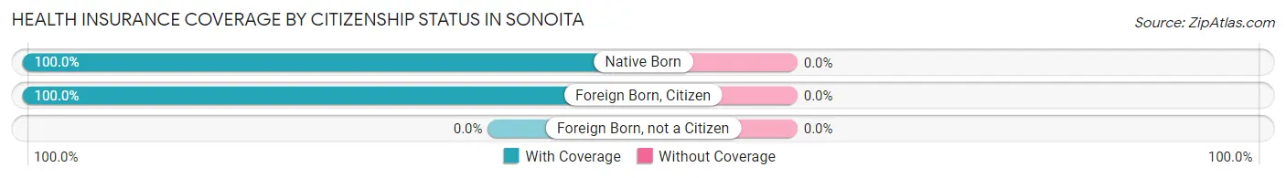 Health Insurance Coverage by Citizenship Status in Sonoita