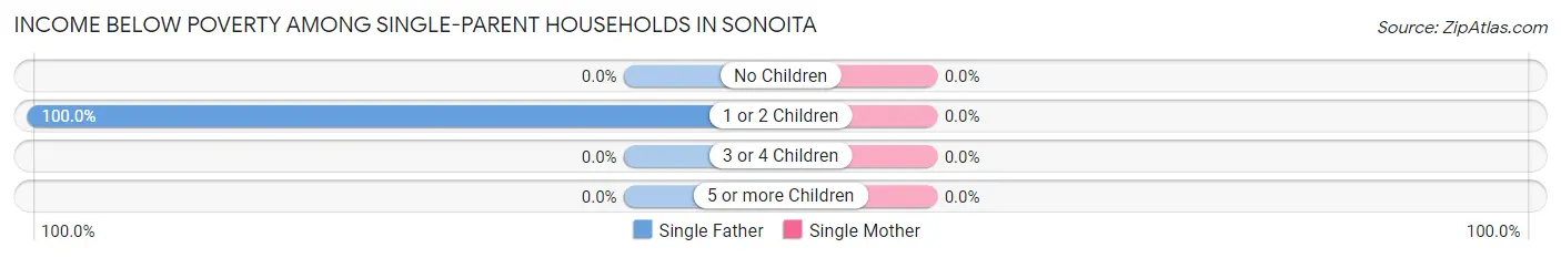 Income Below Poverty Among Single-Parent Households in Sonoita