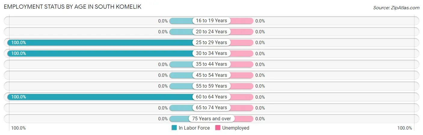 Employment Status by Age in South Komelik