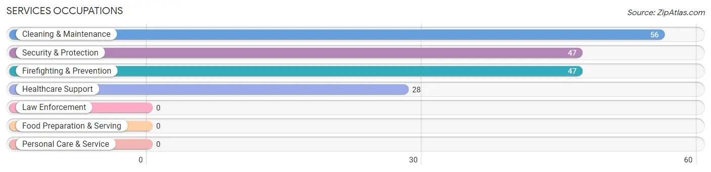 Services Occupations in Spring Valley