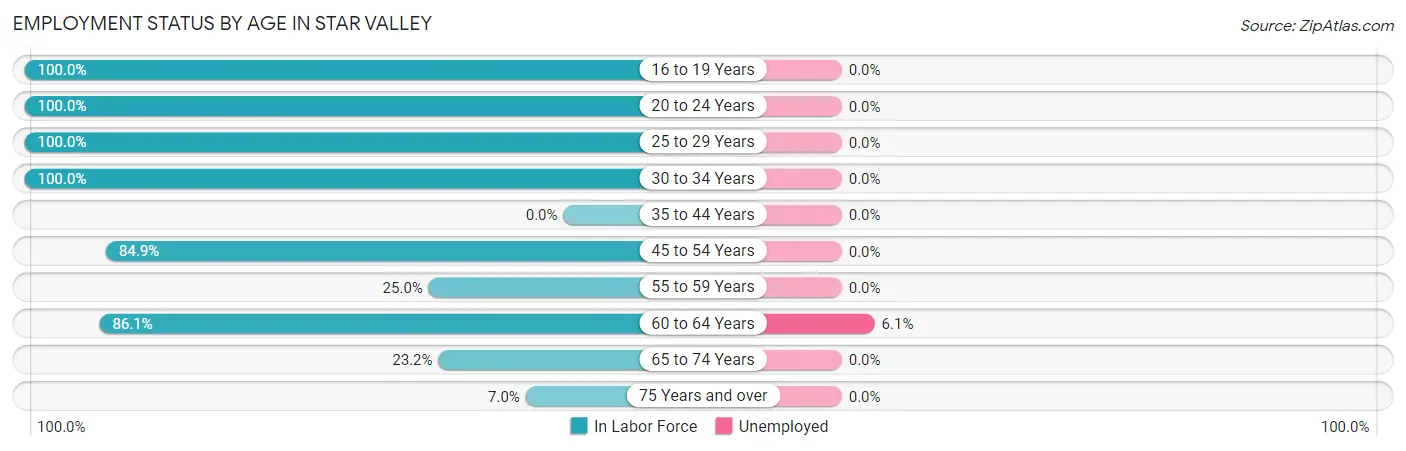 Employment Status by Age in Star Valley