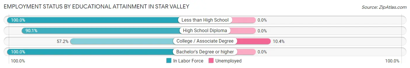 Employment Status by Educational Attainment in Star Valley