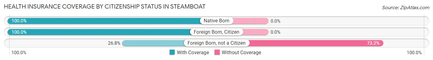 Health Insurance Coverage by Citizenship Status in Steamboat