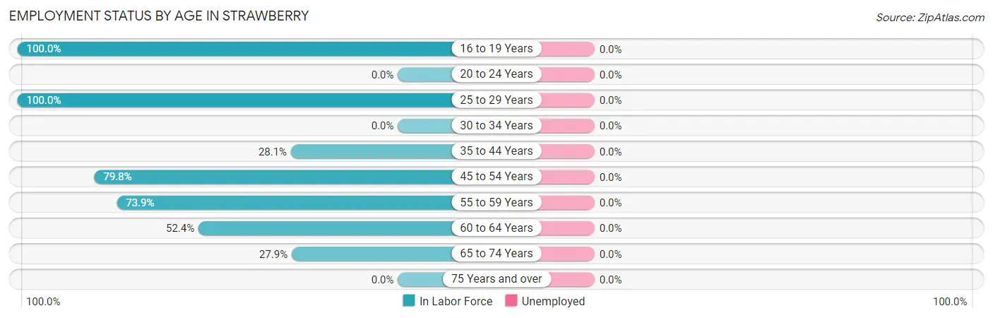 Employment Status by Age in Strawberry