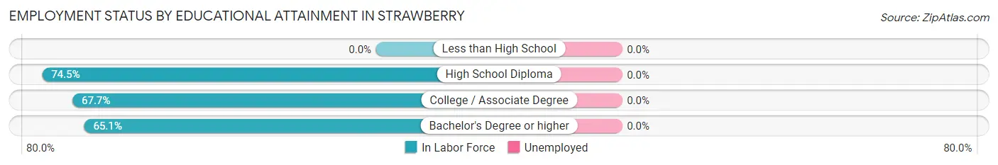 Employment Status by Educational Attainment in Strawberry