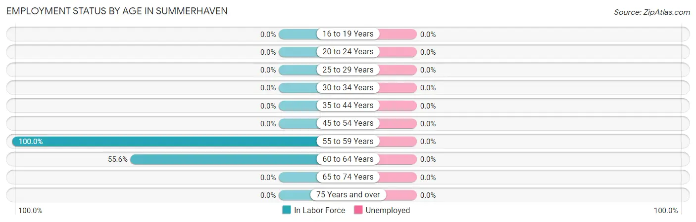 Employment Status by Age in Summerhaven