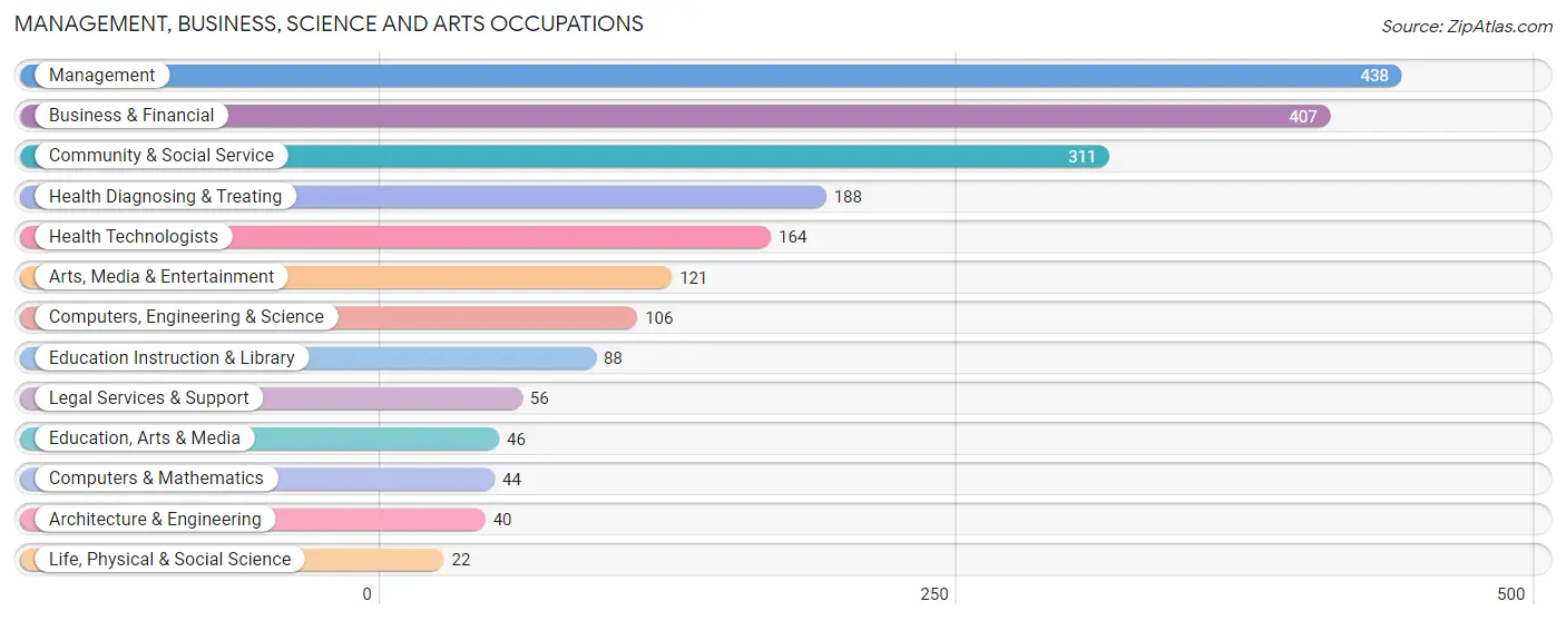 Management, Business, Science and Arts Occupations in Sun City West