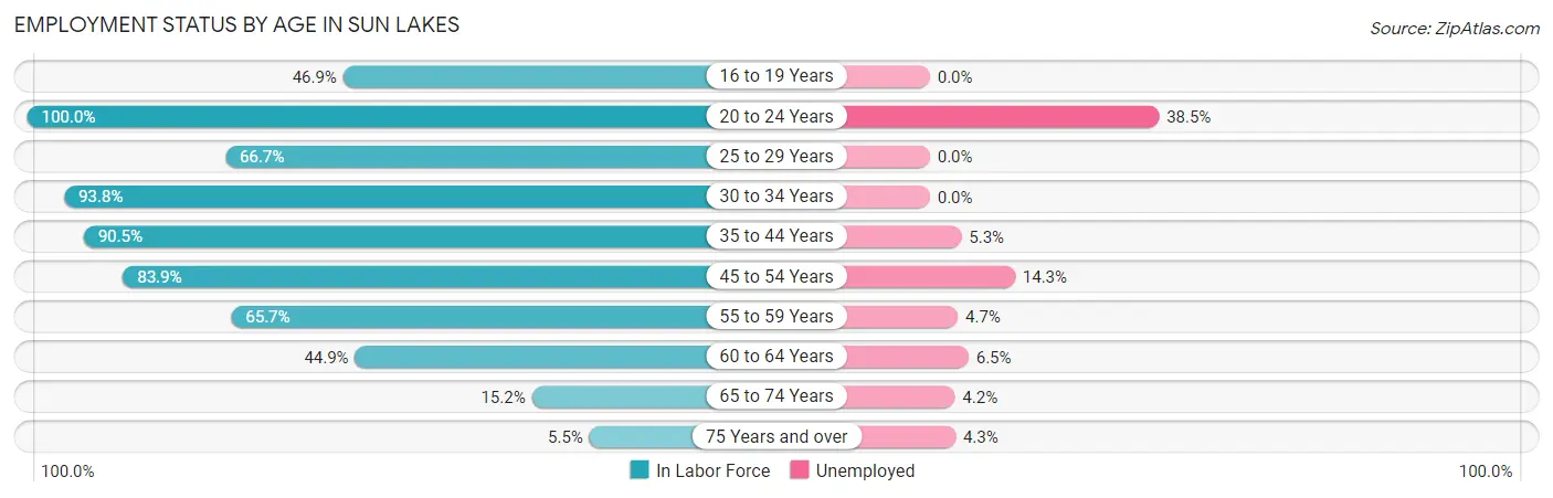 Employment Status by Age in Sun Lakes