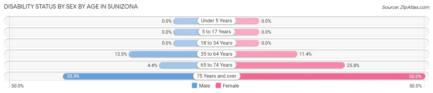 Disability Status by Sex by Age in Sunizona