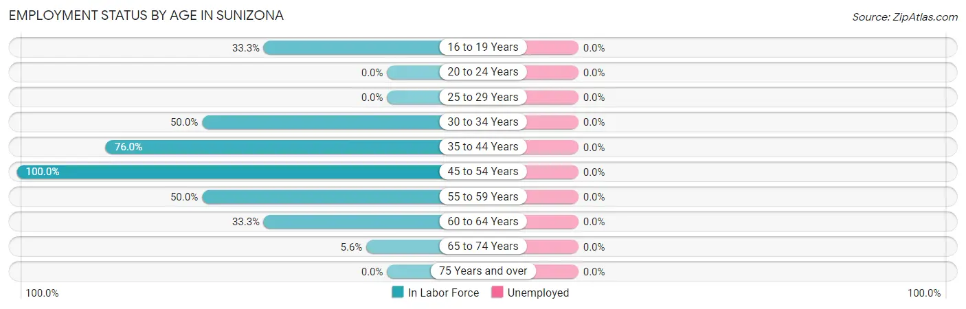 Employment Status by Age in Sunizona