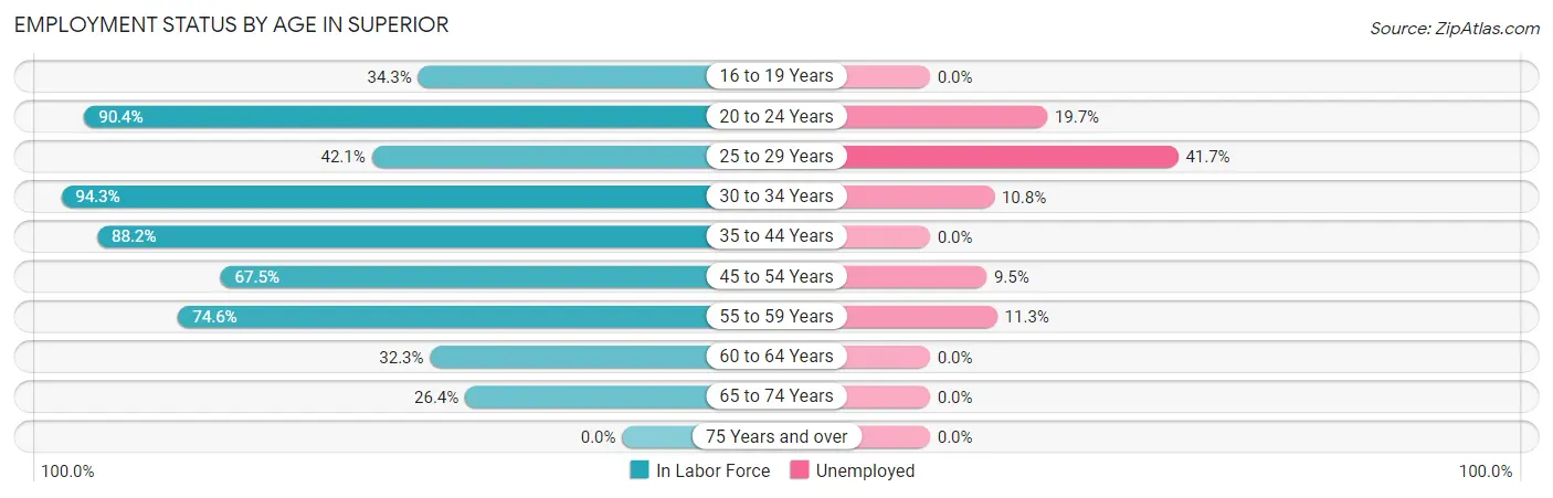 Employment Status by Age in Superior