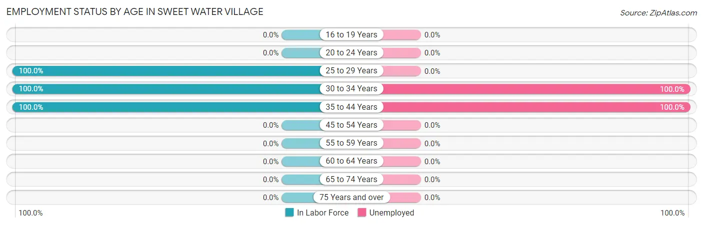 Employment Status by Age in Sweet Water Village