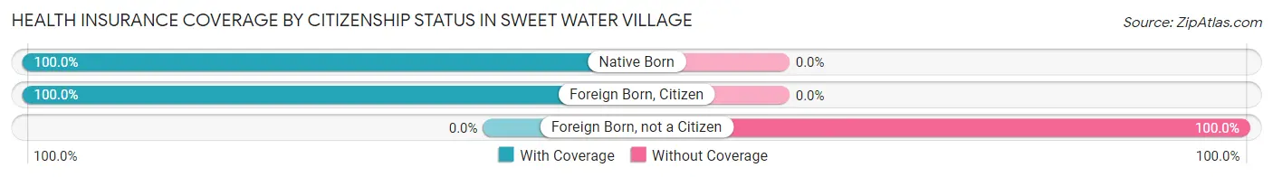 Health Insurance Coverage by Citizenship Status in Sweet Water Village