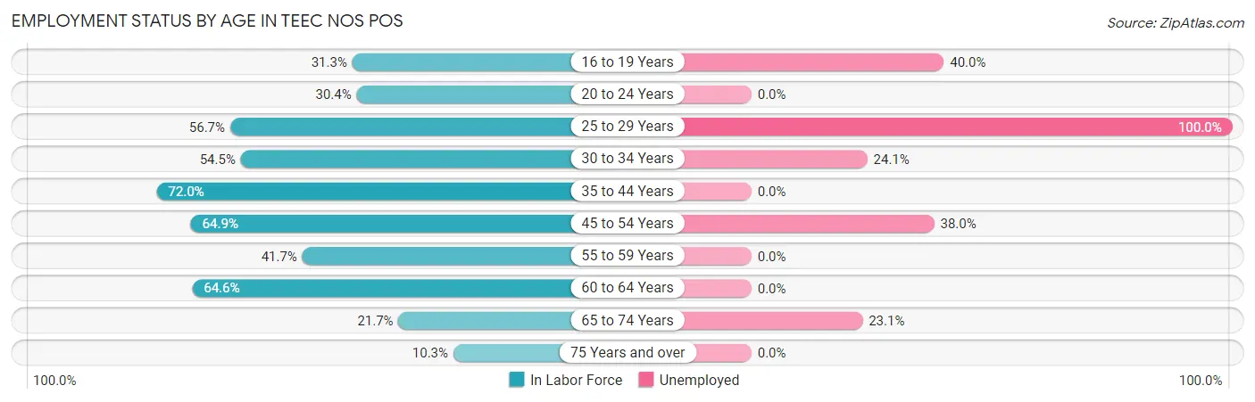 Employment Status by Age in Teec Nos Pos