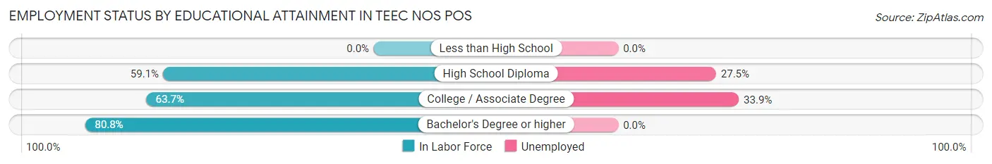 Employment Status by Educational Attainment in Teec Nos Pos
