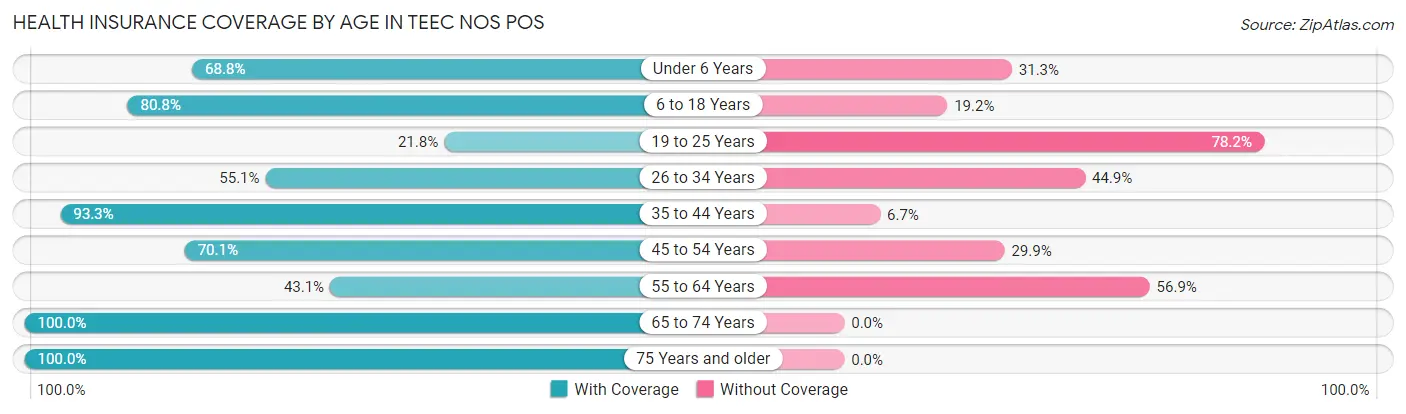 Health Insurance Coverage by Age in Teec Nos Pos