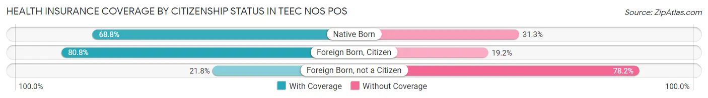 Health Insurance Coverage by Citizenship Status in Teec Nos Pos