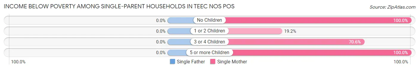 Income Below Poverty Among Single-Parent Households in Teec Nos Pos