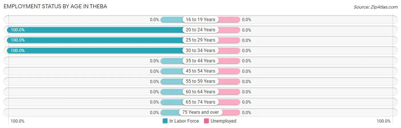 Employment Status by Age in Theba