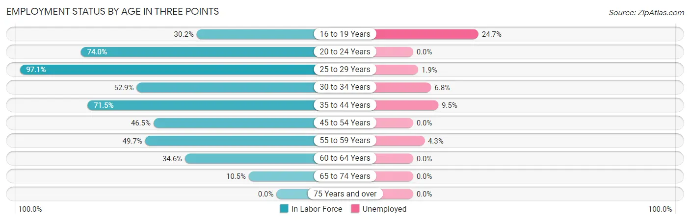 Employment Status by Age in Three Points