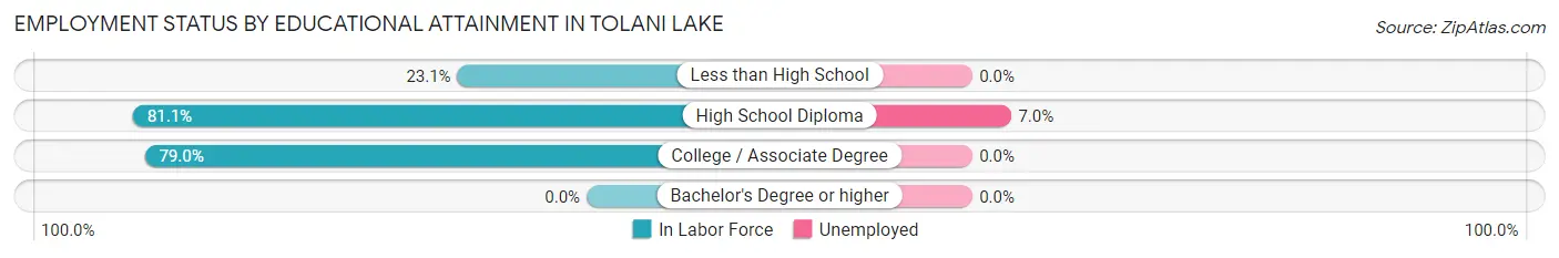 Employment Status by Educational Attainment in Tolani Lake