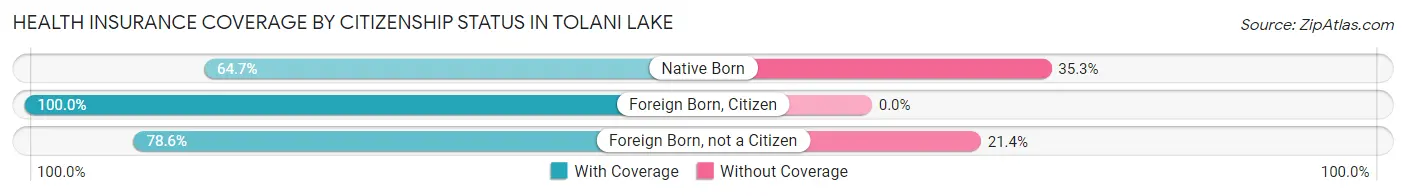 Health Insurance Coverage by Citizenship Status in Tolani Lake