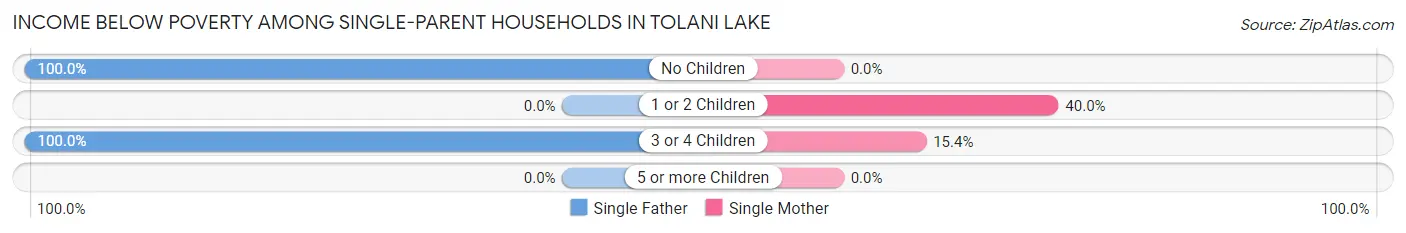 Income Below Poverty Among Single-Parent Households in Tolani Lake