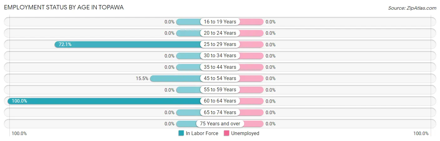 Employment Status by Age in Topawa